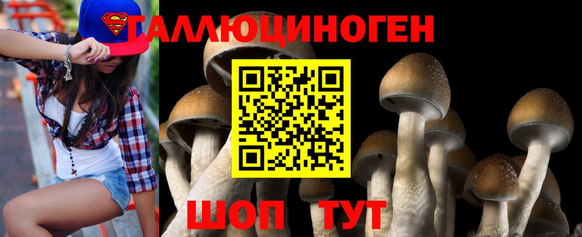 Галлюциногенные грибы прущие грибы  Вход с VPN  Дивногорск 